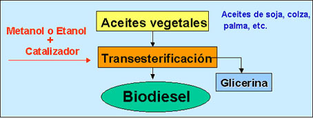 Biodiesel en Promecio - Tecnologa de punta